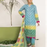 Libas Studios Pretty Robe Chunri LS CH-052409