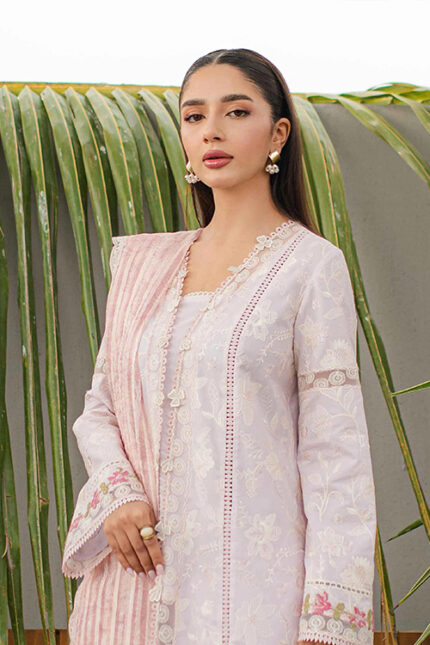 Lawn Collection Qalamkar Qline