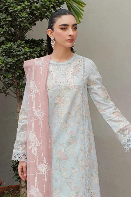 Lawn Collection Qalamkar Qline