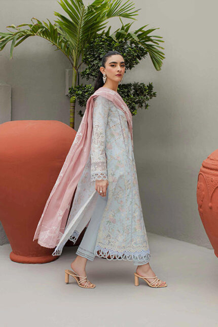 Lawn Collection Qalamkar Qline