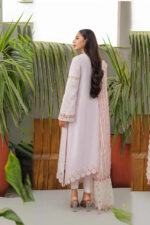 Lawn Collection Qalamkar Qline