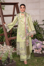 Rang Rasiya Premium Lawn