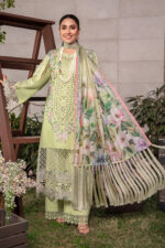 Rang Rasiya Premium Lawn