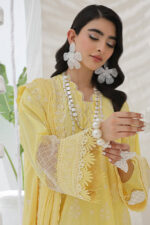 ChikanKari Lawn Embroidered Suit