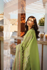 Rang Rasiya Premium Lawn