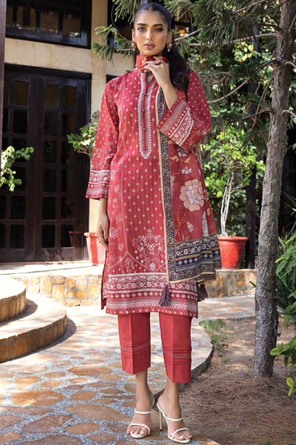 Lakhanay Printed suits