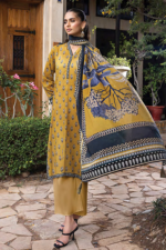 Lakhanay Printed suits