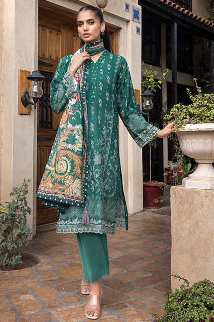 Lakhanay Printed suits