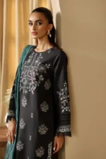 Embroidered Shawl Series 13
