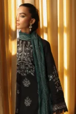 Embroidered Shawl Series 13
