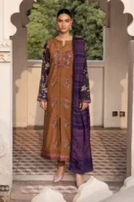 Rajbari Khaddar 3 Piece with Premium Shawl D#1B