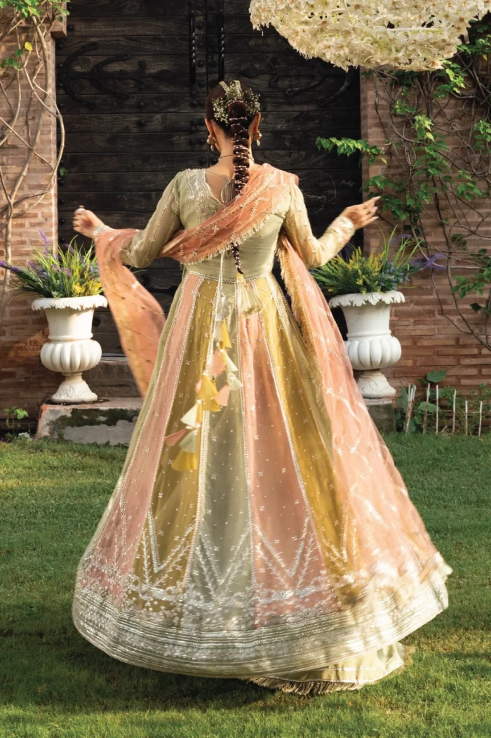 Rang Rasiya I Wedding Formals | 2025 Volume - Amil